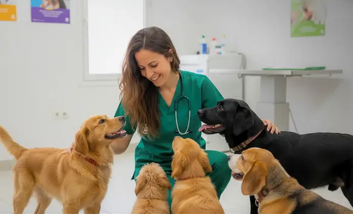 Veterinaria en Motril y provincia de Granada